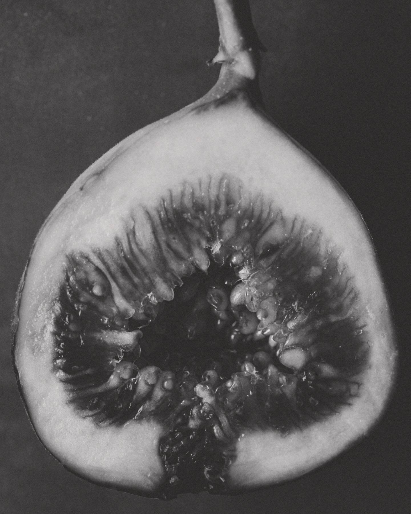 Photograph 11 by Max Zimmermann