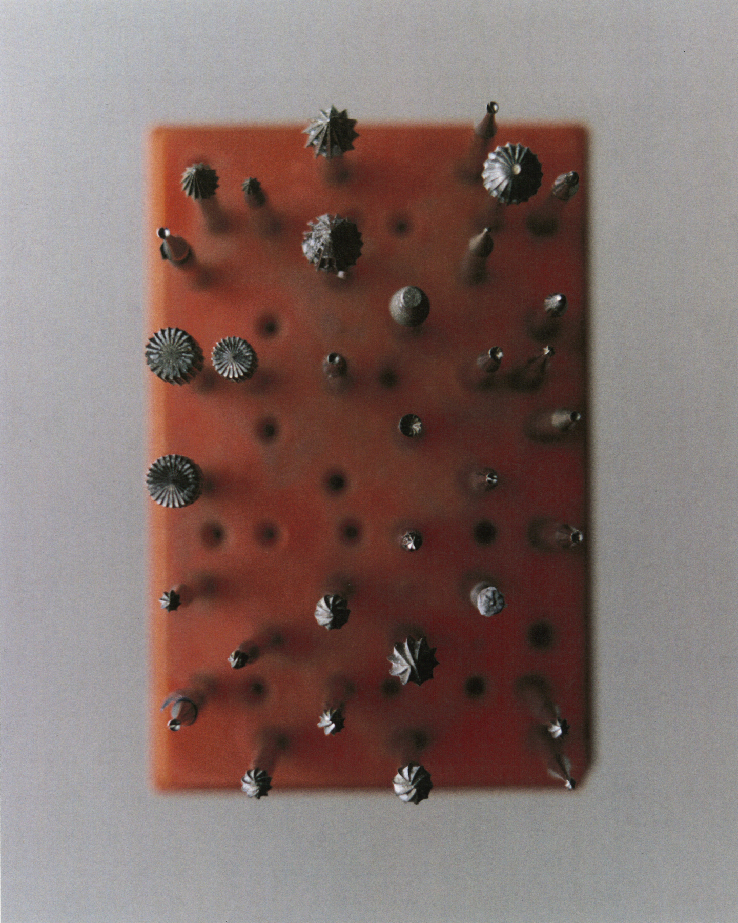 Photograph 12 by Max Zimmermann