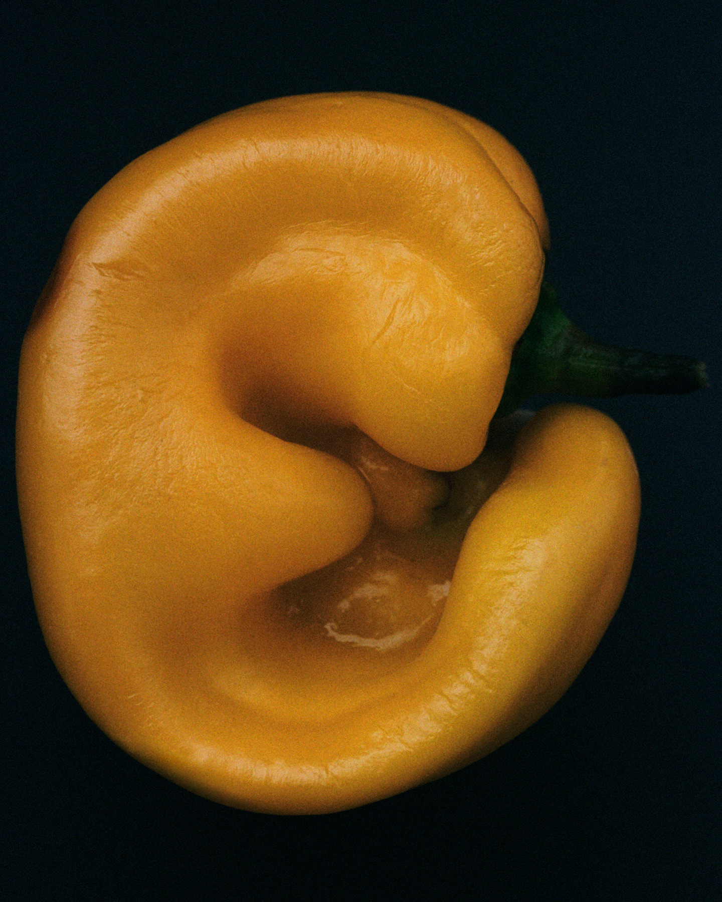 Photograph 14 by Max Zimmermann