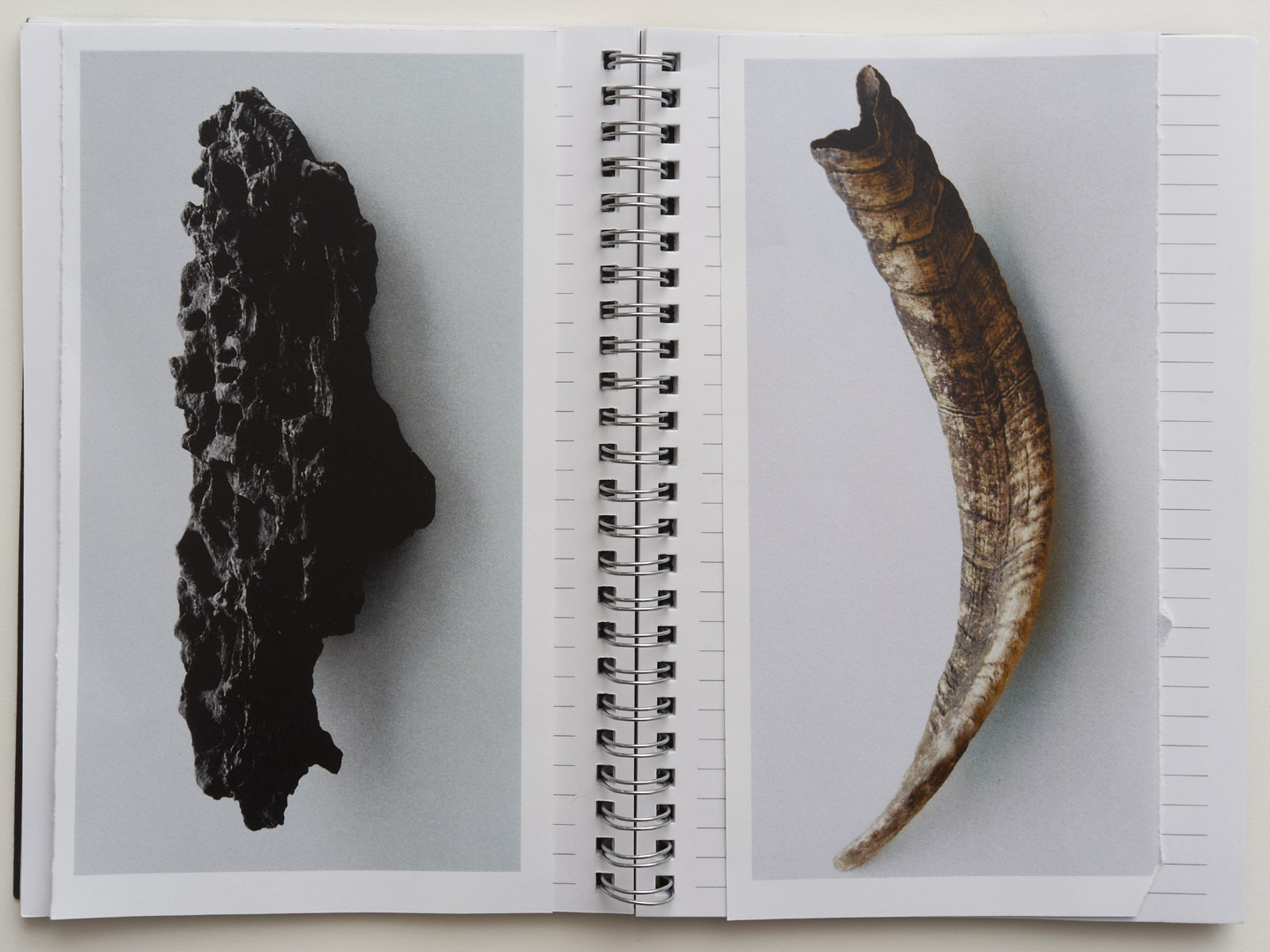 Photograph 16 by Max Zimmermann