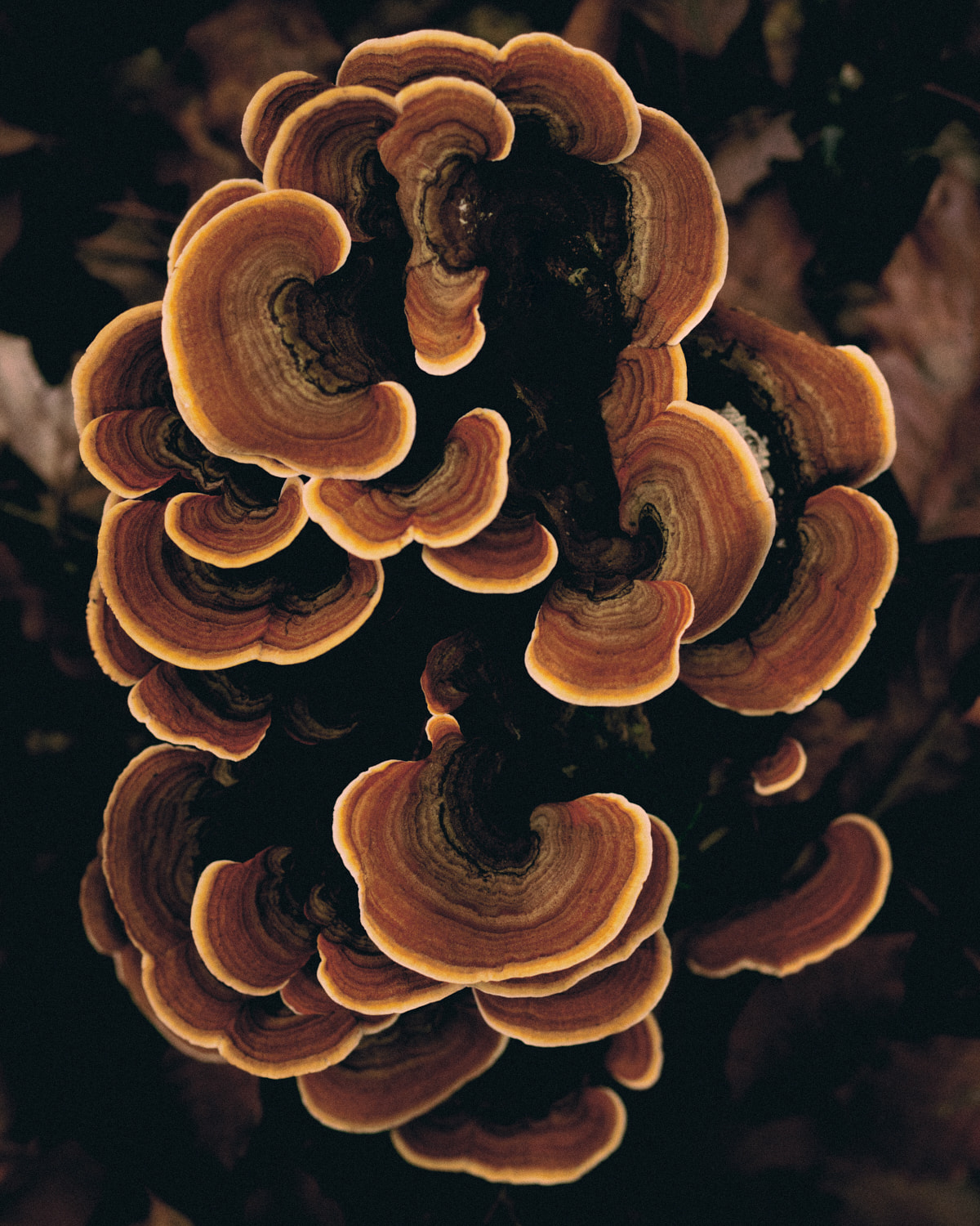 Photograph 26 by Max Zimmermann