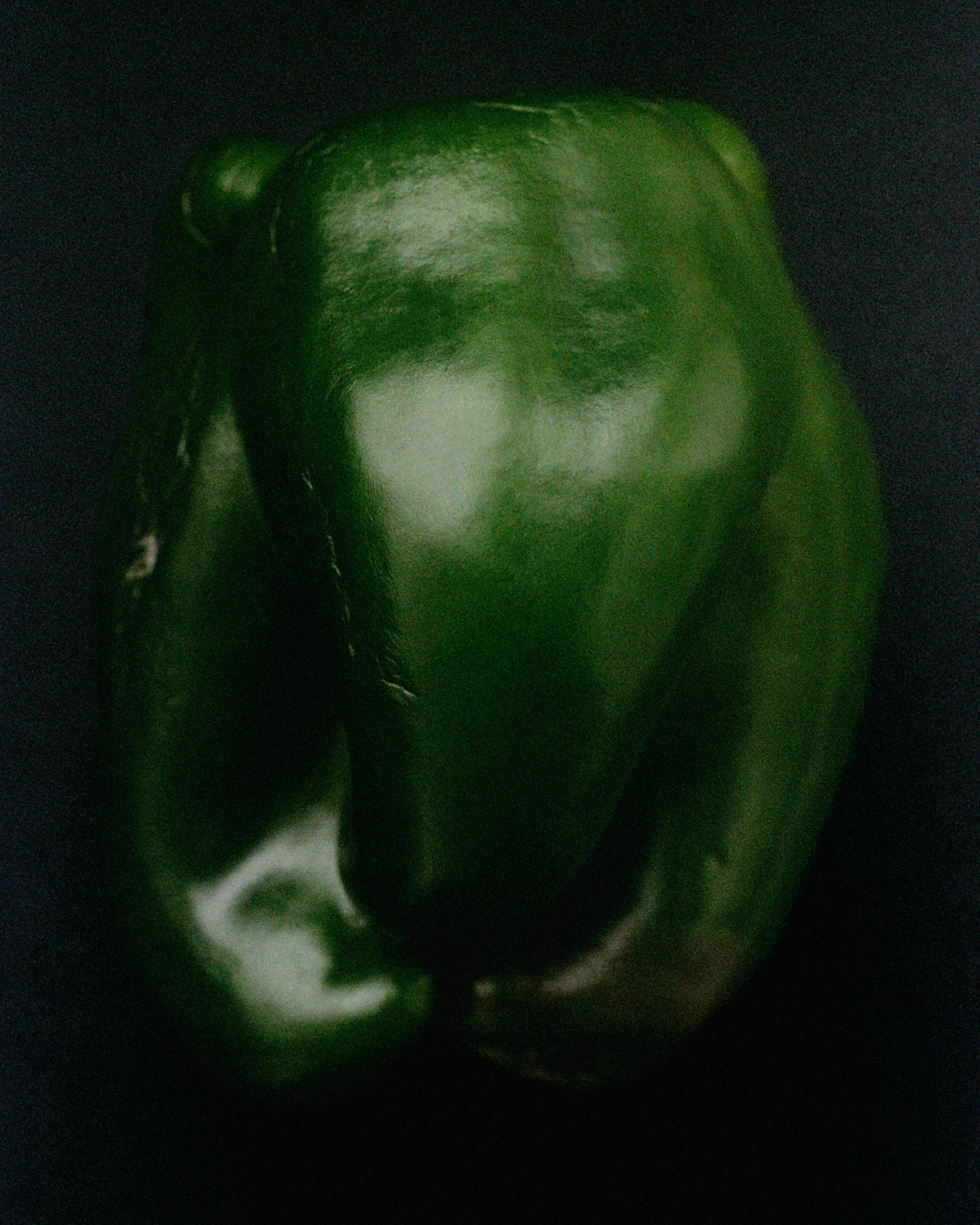 Photograph 4 by Max Zimmermann