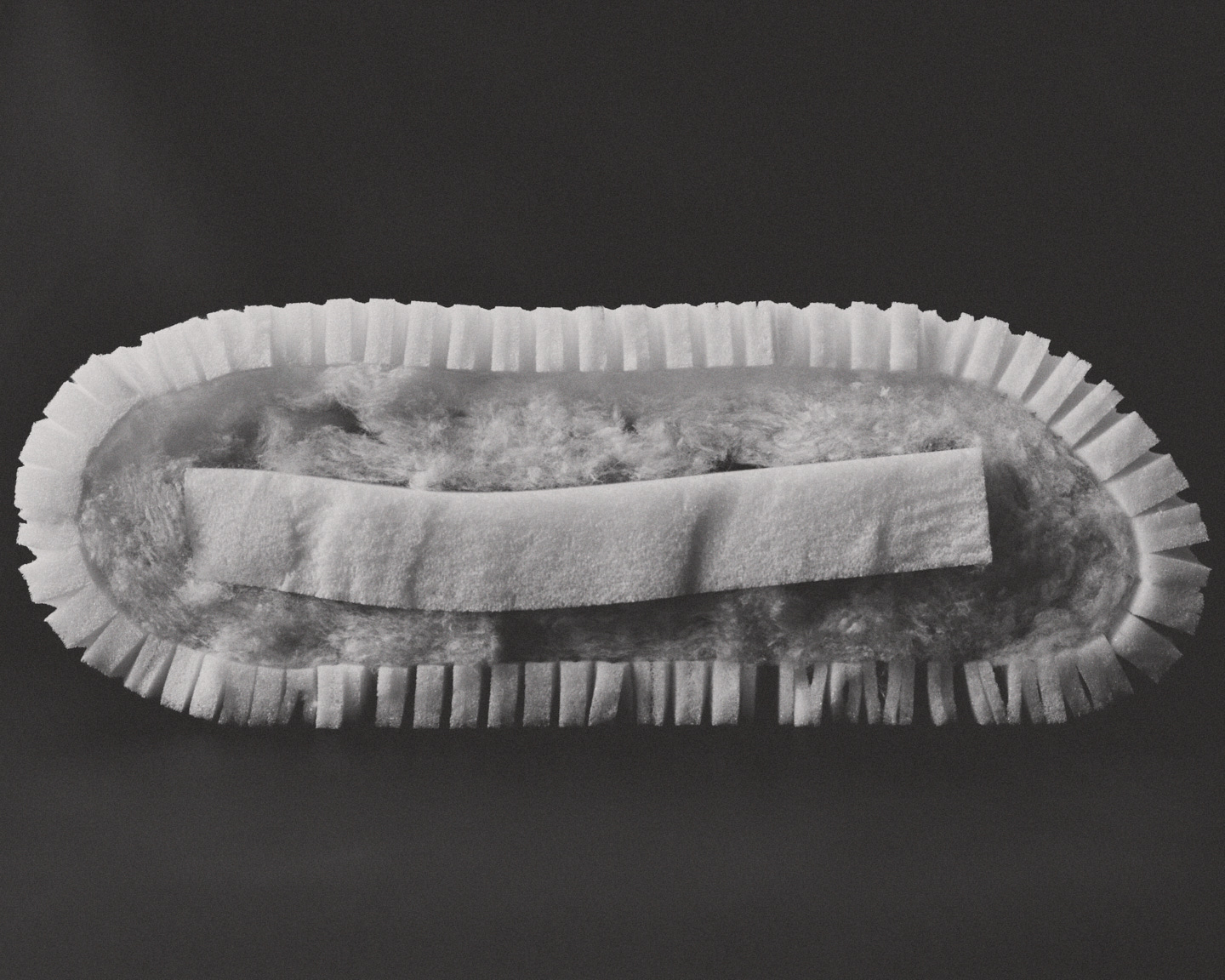 Photograph 6 by Max Zimmermann