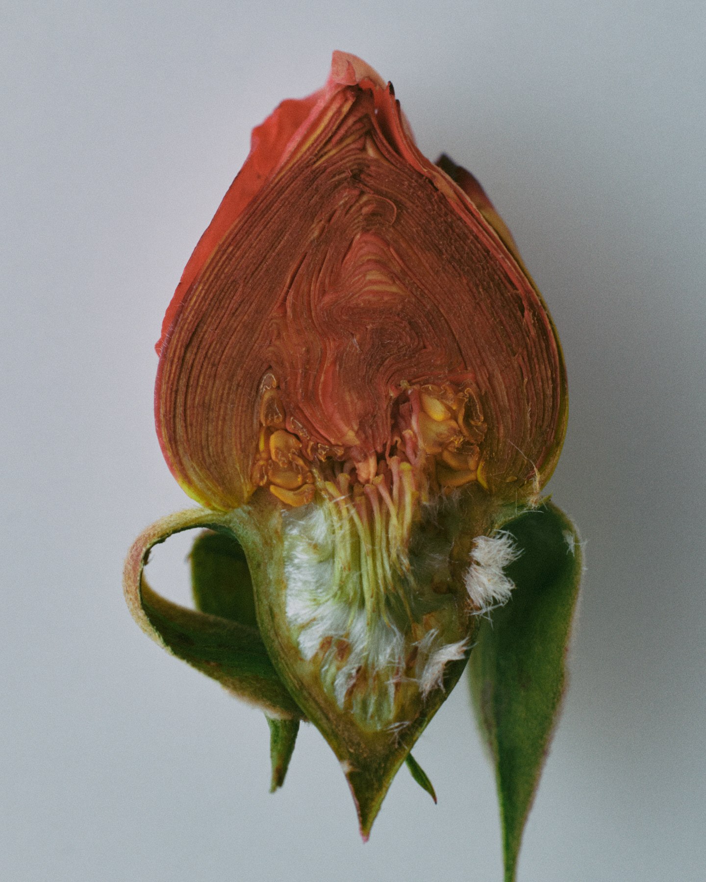 Photograph 8 by Max Zimmermann